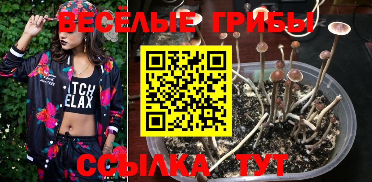сколько стоит  Псилоцибиновые грибы Psilocybine cubensis  Вход с VPN  Когалым 